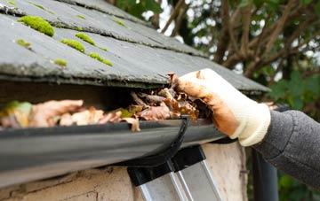 gutter cleaning Cowbit, Lincolnshire